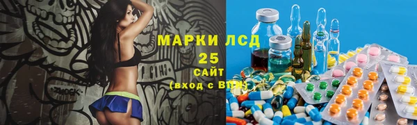 амф Козельск