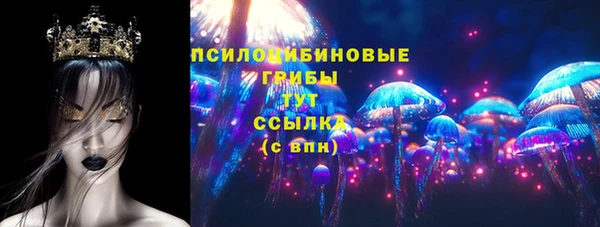 амф Козельск