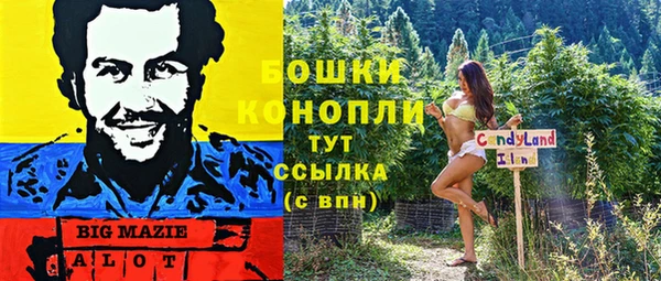 ГАЛЛЮЦИНОГЕННЫЕ ГРИБЫ Костерёво