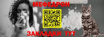 СК Гатчина