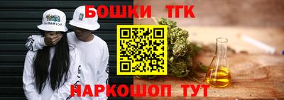 СК Гатчина