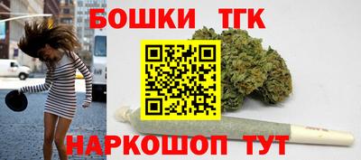 СК Гатчина