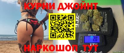 СК Гатчина