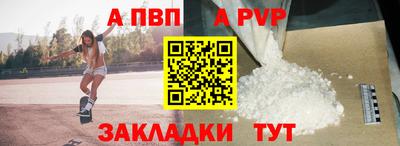 СК Гатчина