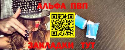СК Гатчина