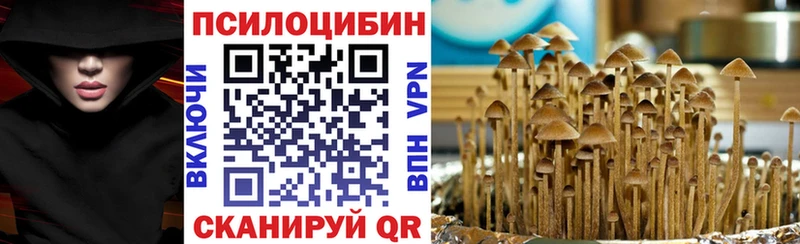 как найти наркотики  Клин  Галлюциногенные грибы мицелий 