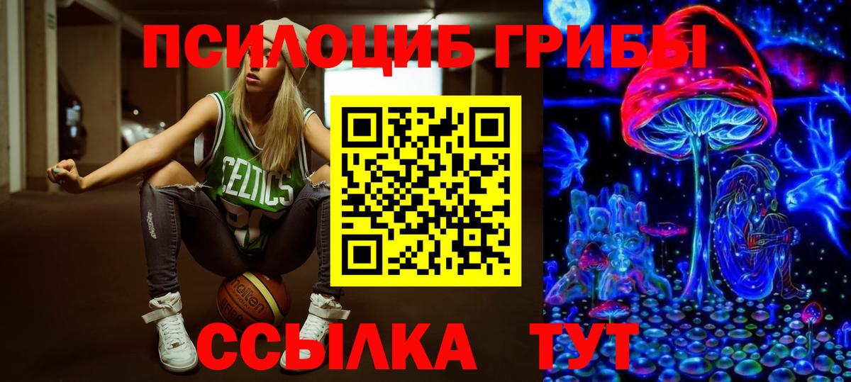 цены   Клин  Галлюциногенные грибы Magic Shrooms 