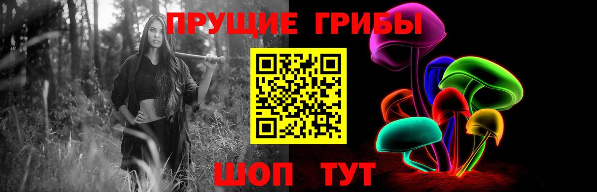 Псилоцибиновые грибы GOLDEN TEACHER  Вход с VPN  Клин 