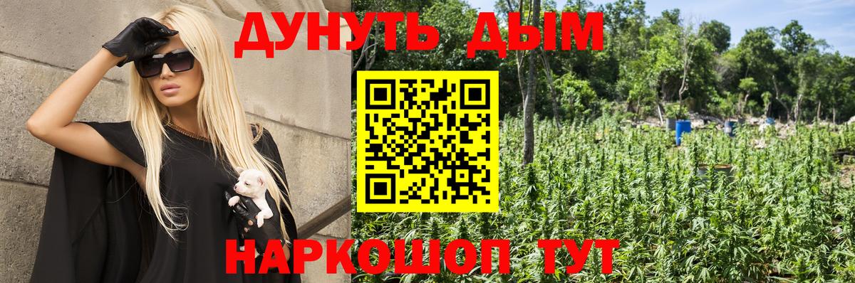 Канабис сатива Клин